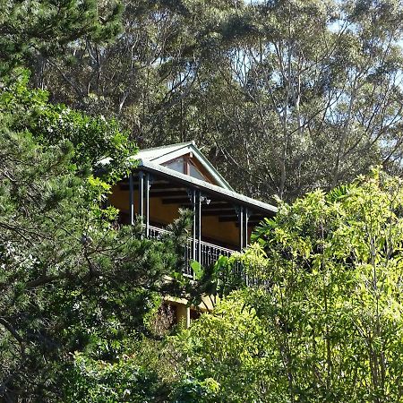 Intaba Lodge Houtbaai Buitenkant foto