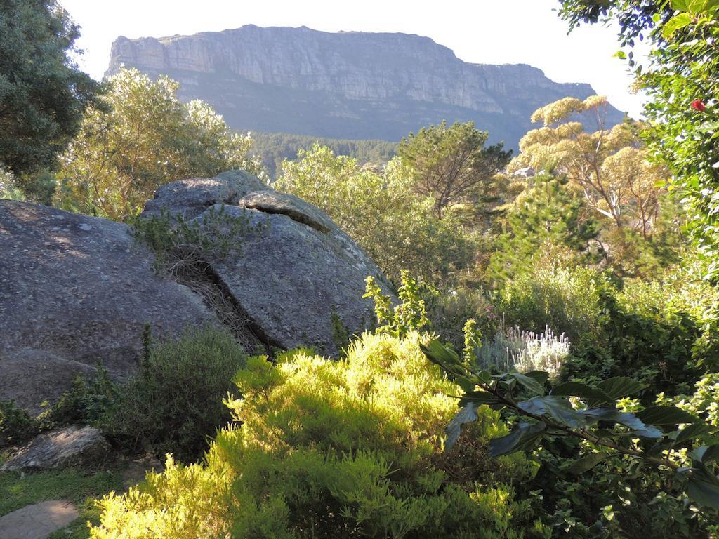 Intaba Lodge Houtbaai Buitenkant foto