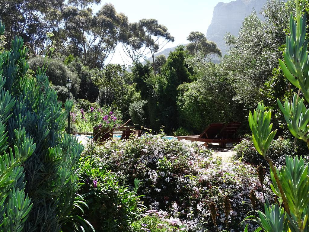 Intaba Lodge Houtbaai Buitenkant foto