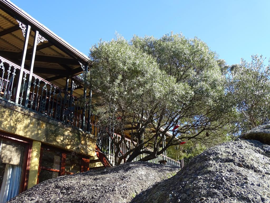 Intaba Lodge Houtbaai Buitenkant foto