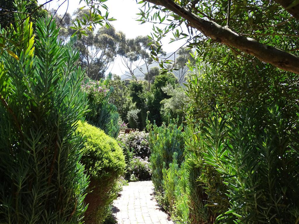 Intaba Lodge Houtbaai Buitenkant foto