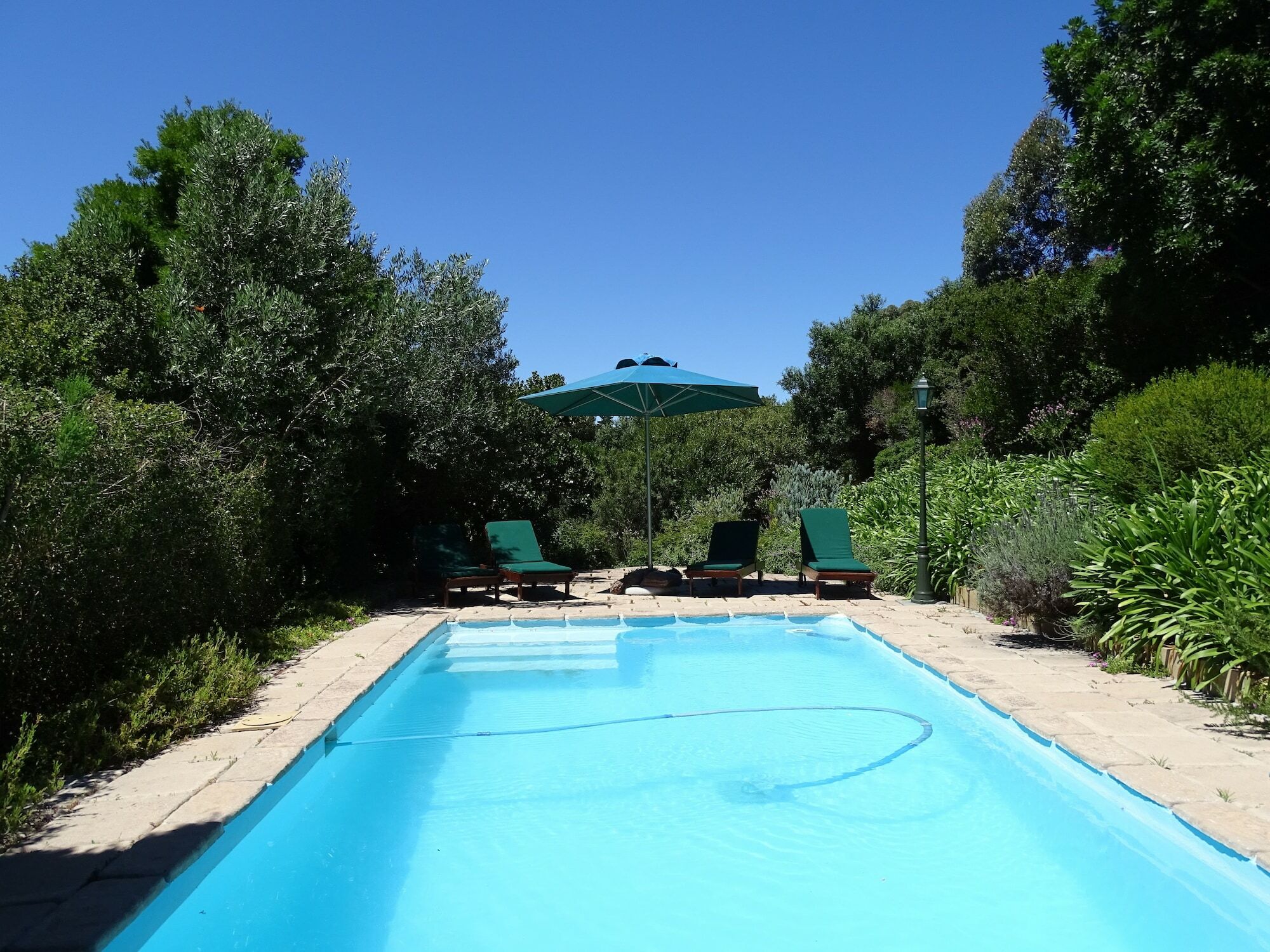 Intaba Lodge Houtbaai Buitenkant foto