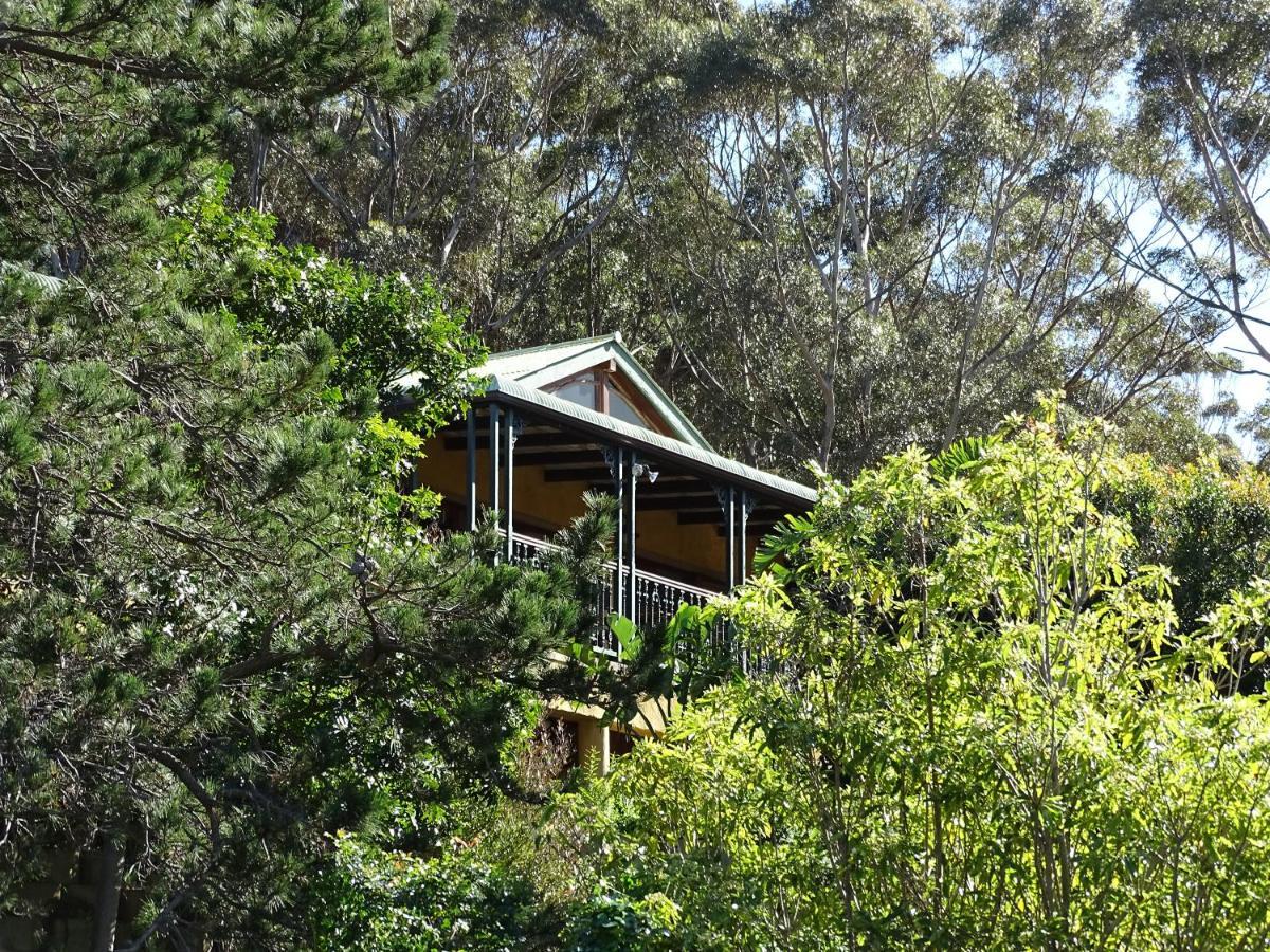 Intaba Lodge Houtbaai Buitenkant foto
